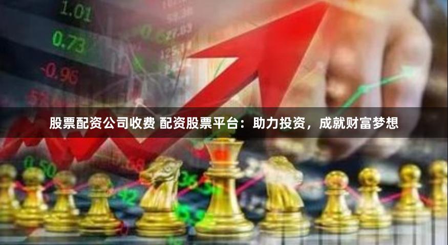 股票配资公司收费 配资股票平台：助力投资，成就财富梦想